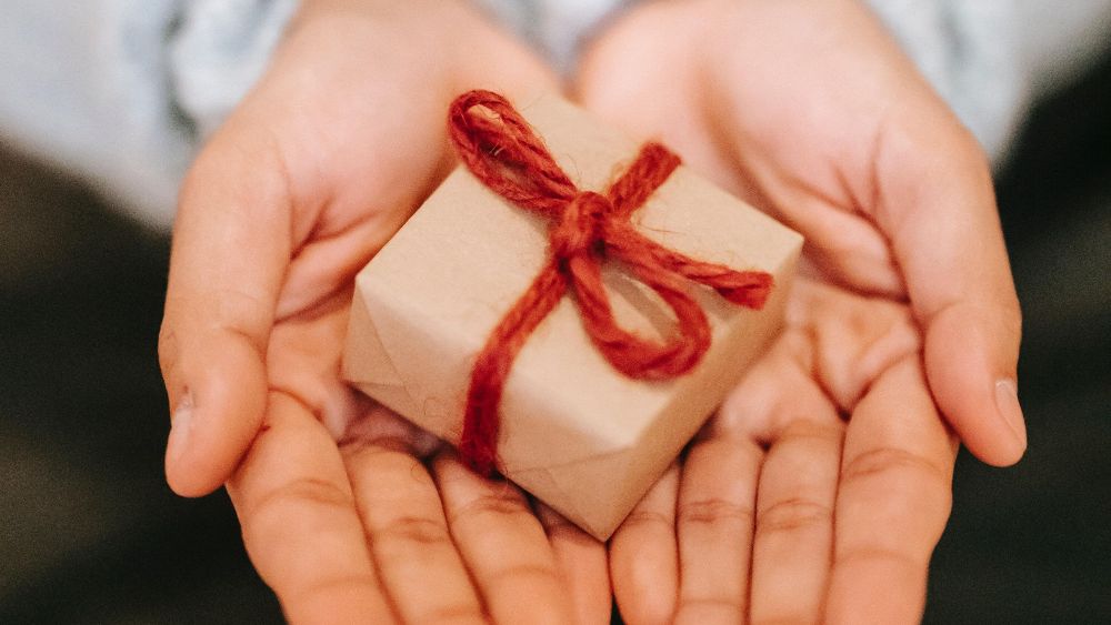 November/December 2023 Newsletter