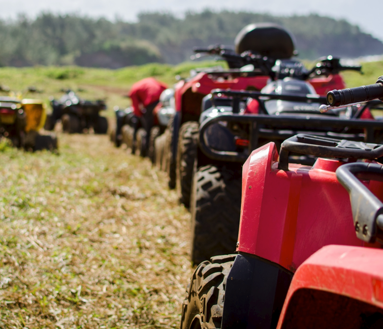 Wheeled Sports and Safety Tips